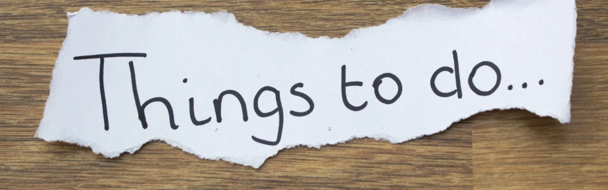 Top Things to Do in Fremont, CA: Attractions, Parks & Hidden Gems