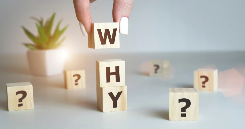 Family-Friendly Fremont, CA: Parks, Schools & Activities for Kids