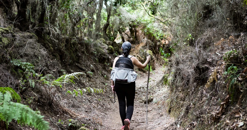 Outdoor Adventures in Fremont, California: Hiking Trails, Parks & Nature Spots