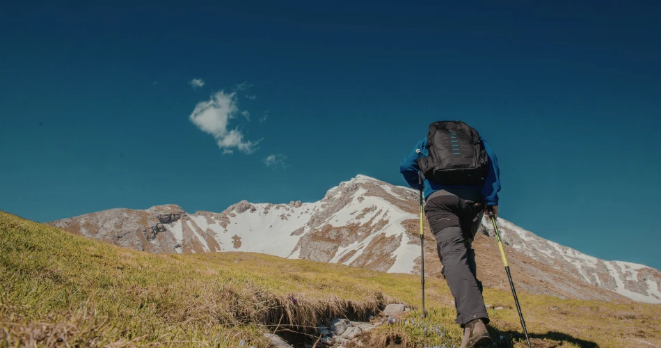 Outdoor Adventures in Fremont, California: Hiking Trails, Parks & Nature Spots