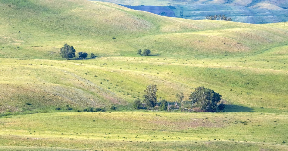 Outdoor Adventures in Fremont, California: Hiking Trails, Parks & Nature Spots